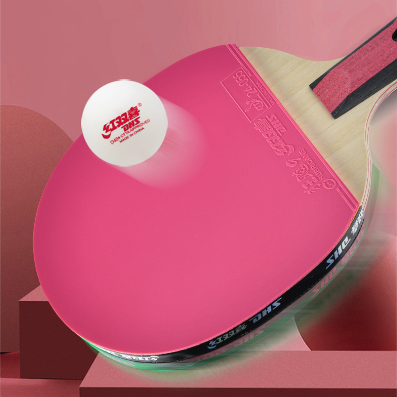 DHS 6 Star Table Tennis Racket - Table Tennis World ulasan dan harga